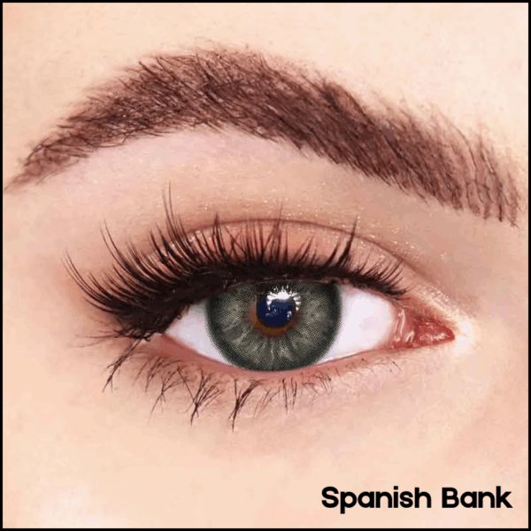 Freshlady Spanish Bank DM 14.2