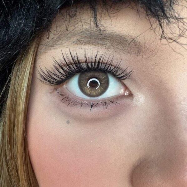 Freshlady Muses Brown 14.2